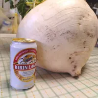 桜島大根| のばーきさん