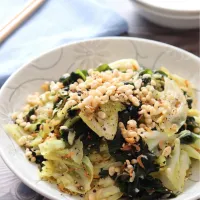 🆔519988                                                                 #春キャベツとわかめのガーリック炒め 💕|ともきーた (伊藤 智子)さん