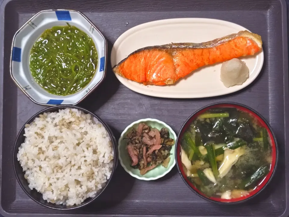 今日の朝ごはん（もち麦ごはんに焼鮭（銀鮭）、めかぶ、ニラと白舞茸とわかめのみそ汁、赤かぶ漬）|Mars＠釜飯作り研究中さん