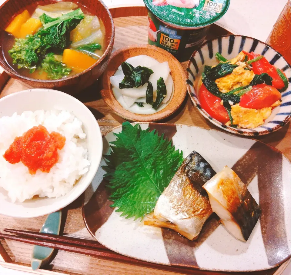 2/27🌸晩ご飯|samさん