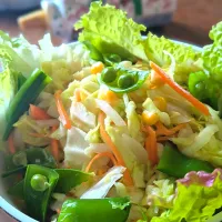 とんちんさんの料理 コリアンコールスロー🥗|fumfumさん