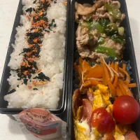 2/28 高校生息子のお弁当|ちととんさん