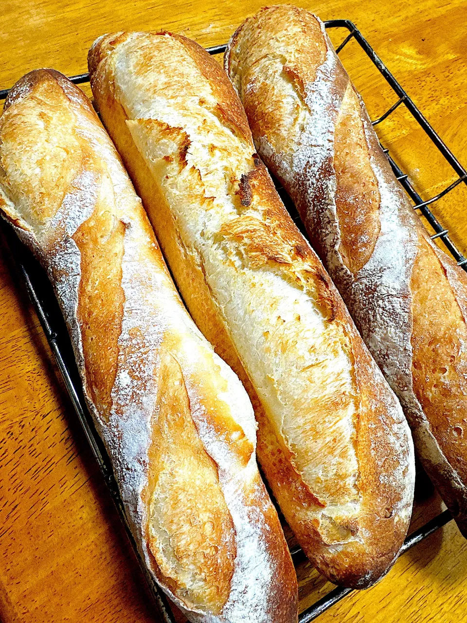 2026/02/27リスドォル🐿️バゲット🥖🥖🥖|Blueberry🫐さん