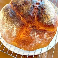 カンパーニュ|masaさん