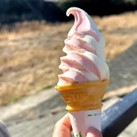 花見のおやつ|ともえ☆さん