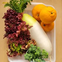 友人の畑の土作りのお手伝いで野菜をGET|みるくここあさん