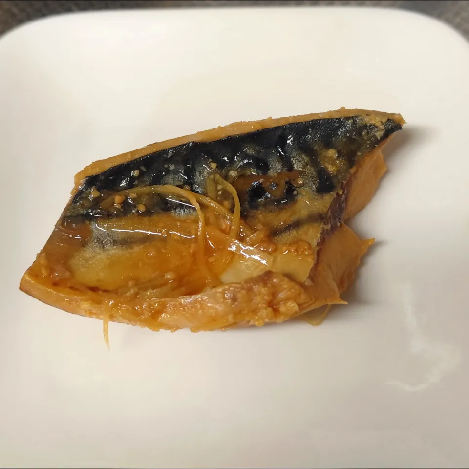 さばみそ|かずさん