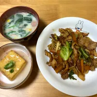 今日のよるごはん＊|みかんさん