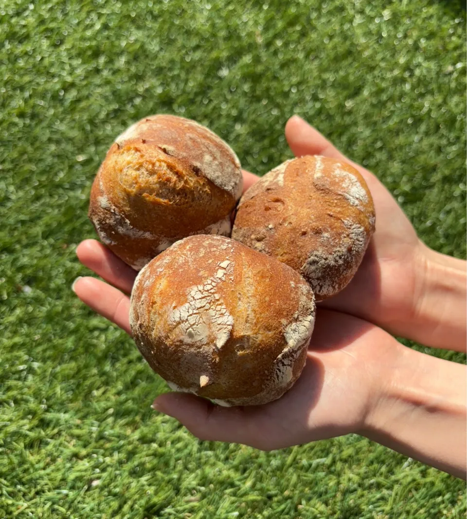 愛犬用　ミニミニカンパーニュ|みゆぞうさん