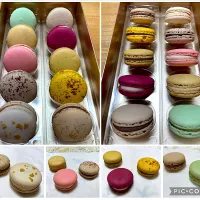 マカロン|こいちさん