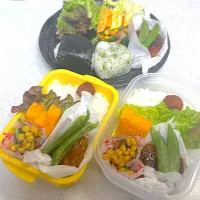 2026年3月2日煮込みハンバーグ弁当|もぐぷーさん