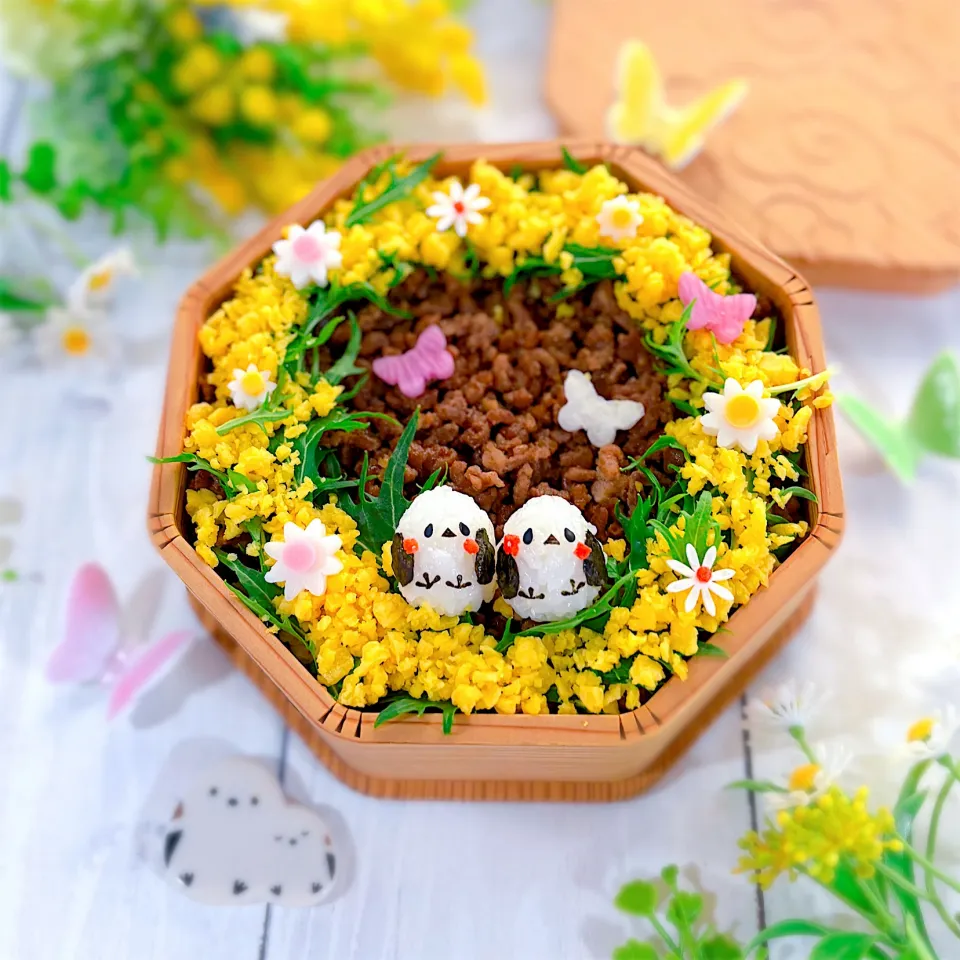 そぼろ弁当|sachikoさん