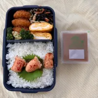 焼き明太子弁当|ひぐっちさん