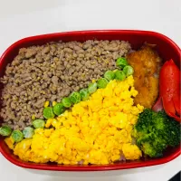 そぼろ弁当🍱| ちはるさん