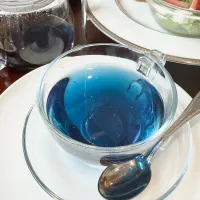 3/4ラジオ川越出演のお知らせとライトブルー桜2026| らぴすらずり(らぴ @lapi_mama)さん