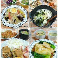 カニかまと白菜の中華あん|みったんさん