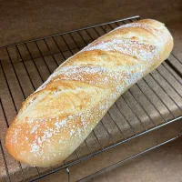 バタール〜⑅︎◡̈︎*|yukomamachanさん