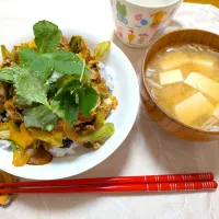 3/2の夕食　春キャベツと鶏ひき肉の丼|卯月さん