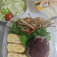 ☆高校生昼☆テスト期間　金平ゴボウ、シラス卵焼き、ハンバーグ、ごはん、サラダ、ナンドック|ｼｮｺﾗさん