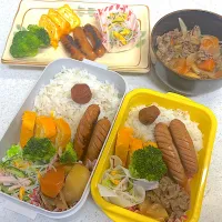 2026年3月3日肉じゃが弁当🍱| もぐぷーさん