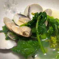 熊本産はまぐりと菜の花の酒蒸し。2026.3.3。|FU-TEN 古原貴大さん