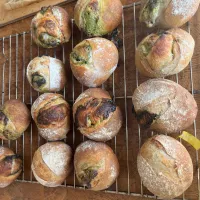 抹茶とクリームチーズのハード|おしみさん