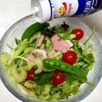 セロリと鴨のアマニ油サラダ|Terumi  Yokosawaさん