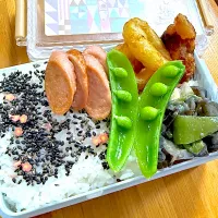 |みーちゃんさん