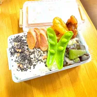 |みーちゃんさん