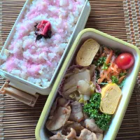 娘弁当🐷！| まめころさん