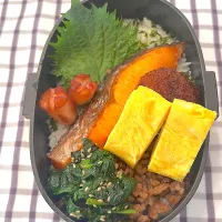 260304 焼き鮭とそぼろ　男子高校生弁当|Riieeさん