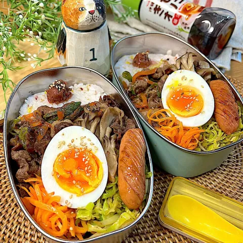 「沖縄・奄美のきびオリゴ」を使ってみたSnapdishの料理・レシピ写真:きびオリゴでプルコギ弁当！