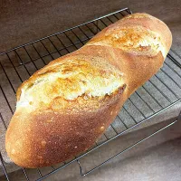 バタール〜⑅︎◡̈︎*