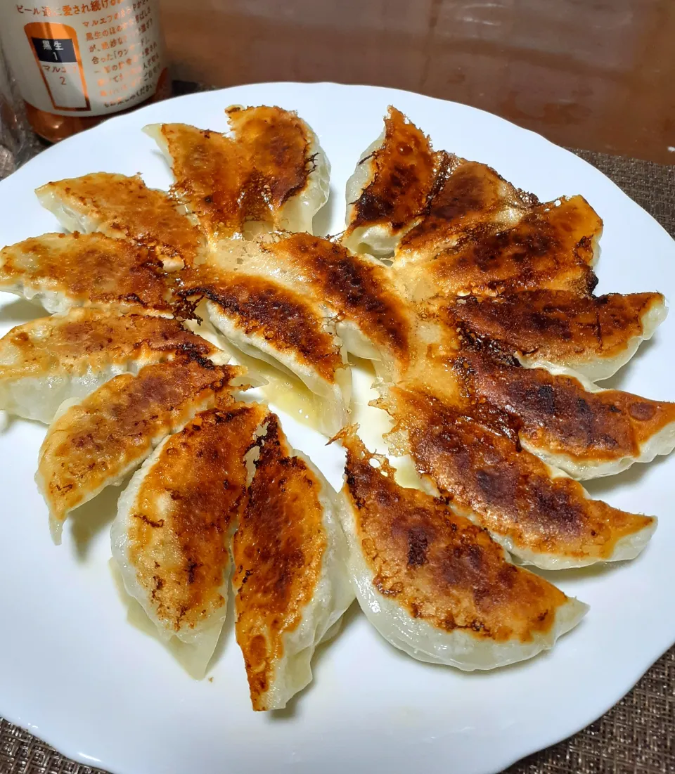 餃子🥟|びせんさん