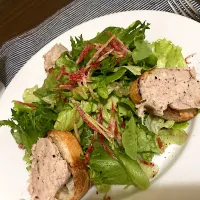 サラダ🥗🥗🥗🫜🫜|ゴンさん