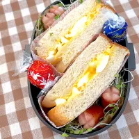 260305 たまごサンド　男子高校生弁当|Riieeさん