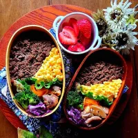 そぼろ弁当🥢|さらママさん