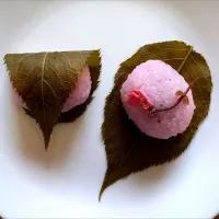 桜餅🌸|なつさん