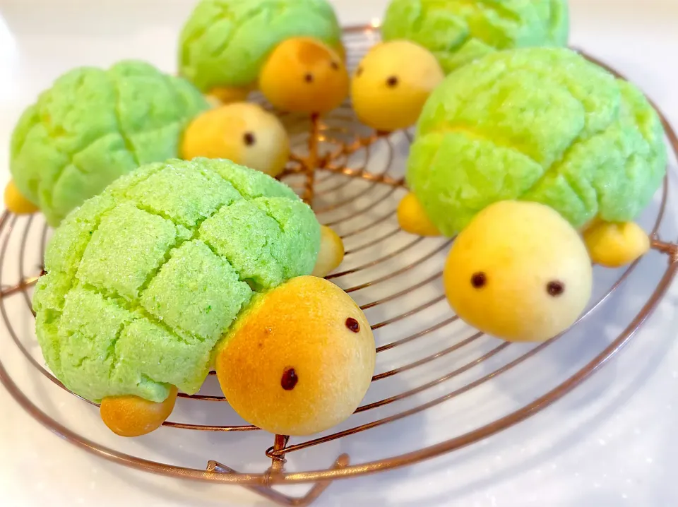 カメロンパン🐢|akanyeさん