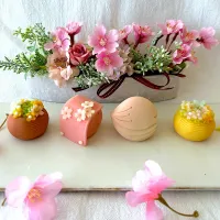 |ノリキートさん