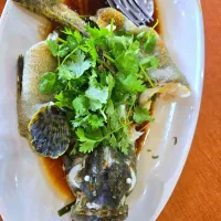 Penang steam grouper| rufvalさん