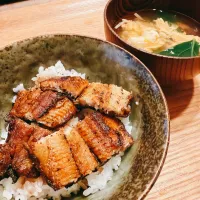 夜2026.3.5|ささなおさん