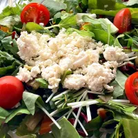 サラダの朝ごはん|コマツ菜さん