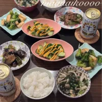 色々野菜の晩ご飯🥒🍆🫑🥦🍄‍🟫|マイコさん