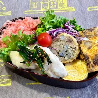 蒸し胸肉にネギ醤油、レンコン入りミンチボール、ほっぺ|めみさん