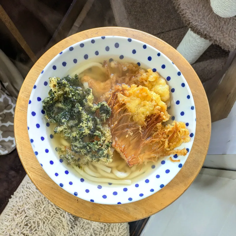 えのき＆あおさ天うどん|mi_neneco♪さん