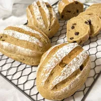 コーヒーレーズン・ソイハース|mai＊さん