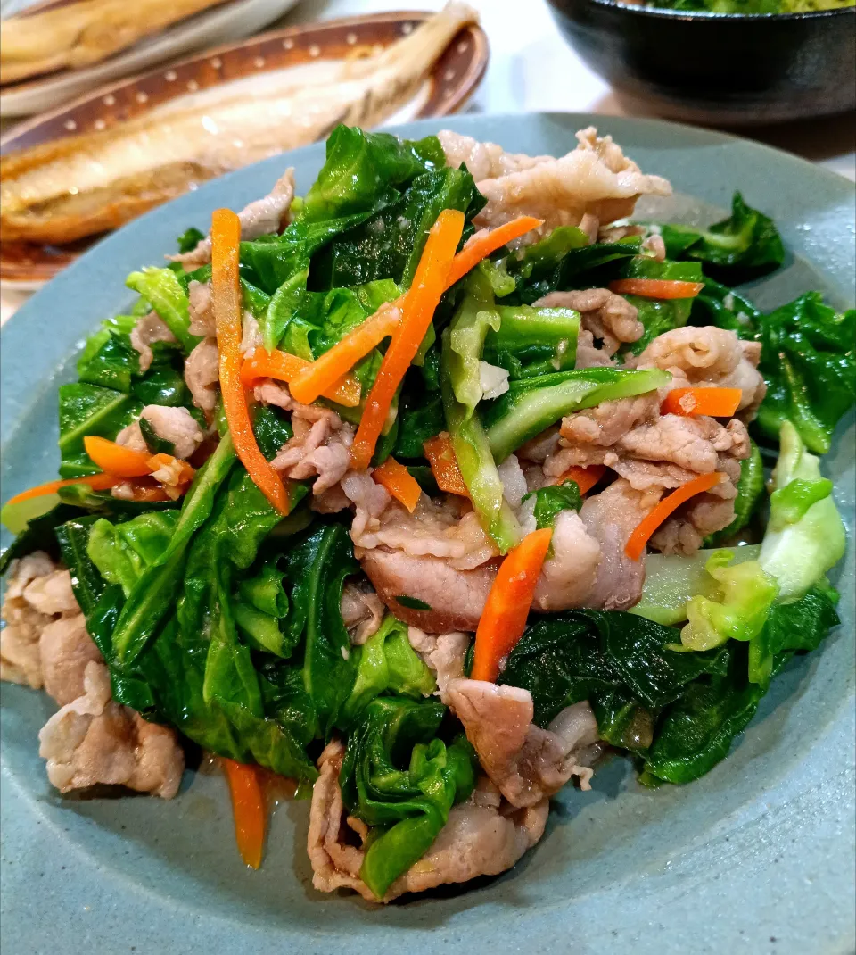 春キャベツのオイスター炒め|ゆうさん