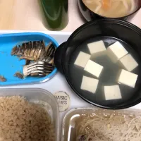 和食|マサアキさん