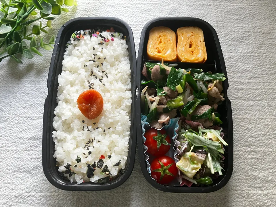 ＊パパ弁当🍱＊|＊抹茶＊さん